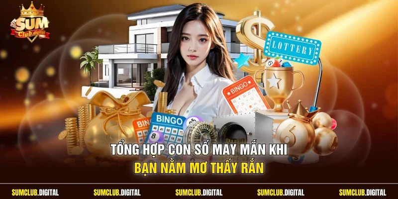 Tổng hợp con số may mắn khi bạn nằm mơ thấy rắn